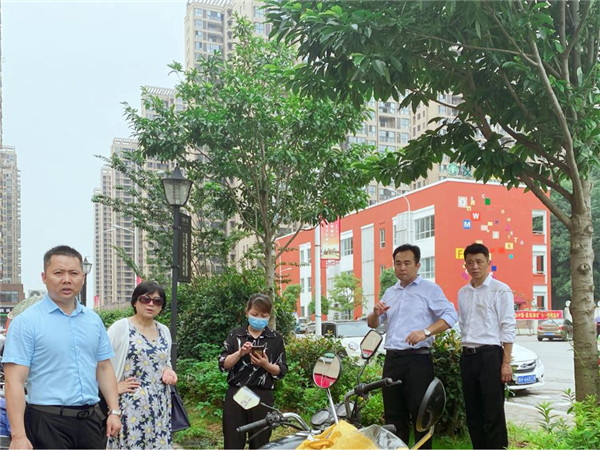 童小英检查古镇天御小区环境卫生整治工作
