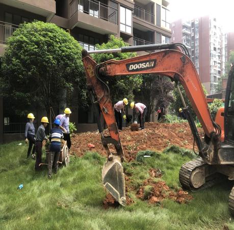 市古镇投资公司领导检查指导古镇天御小区二期品质提升工程项目建设工作