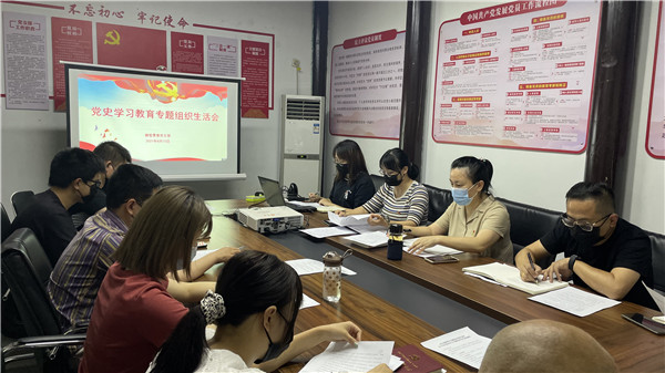 市古镇投资公司各党支部组织开展党史学习教育专题组织生活会