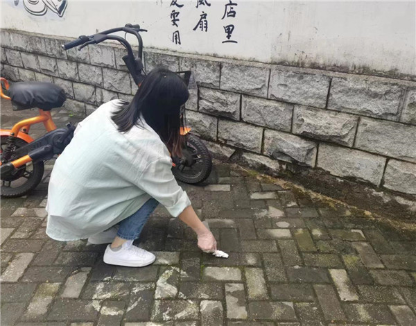 市古镇商旅文公司党支部开展景区环境大整治活动