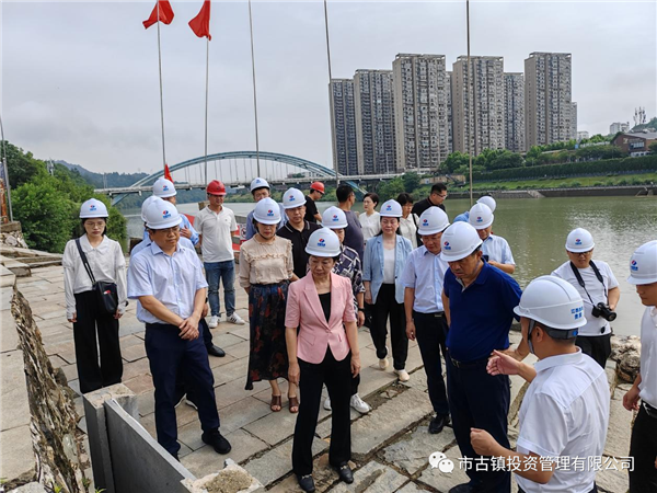 国家文物局调研组到三闾庙调研申报世界文化遗产工作