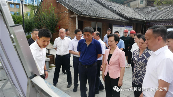 国家文物局调研组到三闾庙调研申报世界文化遗产工作