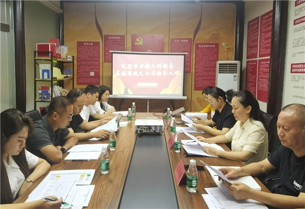 谢玮专项调研指导古镇商旅文公司经济运行情况
