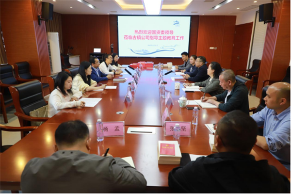 市国资委领导带队指导推进公司主题教育工作