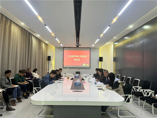 谢玮专项调研指导市古镇印象公司运营情况