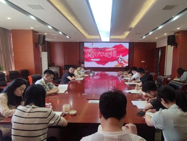 恪守“六大纪律”，筑牢思想根基--市古镇投资公司行政党支部组织开展党记学习教育专题党课