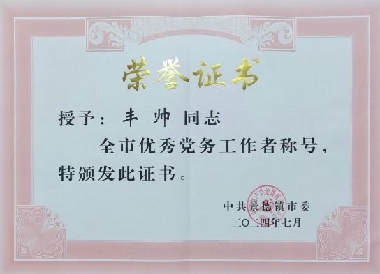 全市优秀党务工作者丰帅：立足岗位勤耕耘 履责于行担使命
