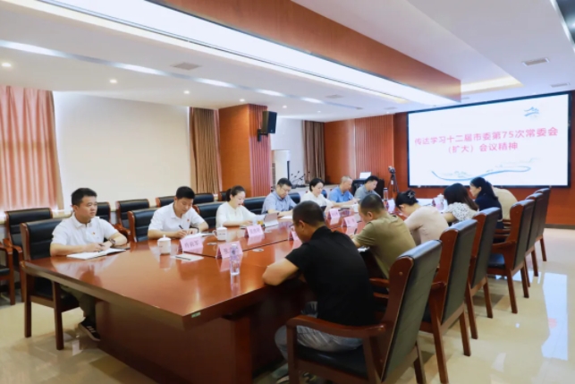 市古镇投资公司党委召开党委（扩大）会
